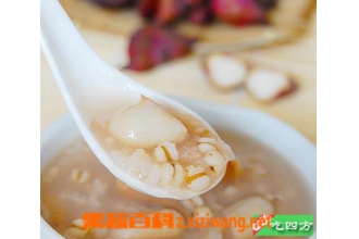 ޲�����Z������