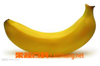 ���㽶��ʲô�ô�