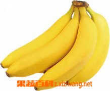�㽶��� �㽶����