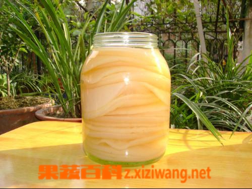海宝菌的培养方法和吃法
