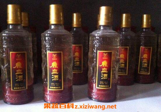 鹿业动态解析：探索长春坤瑞鹿业的发展之路